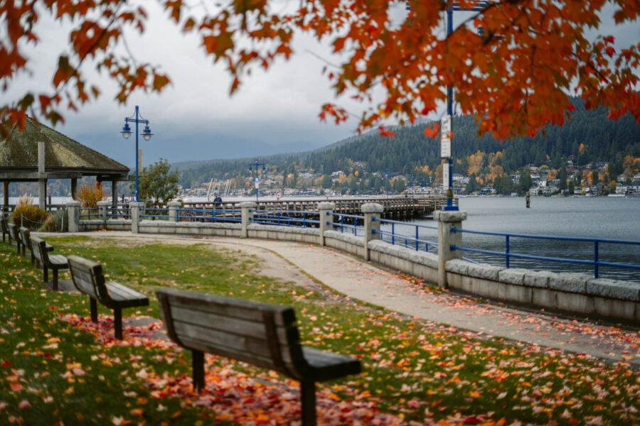 cash for scrap cars port moody