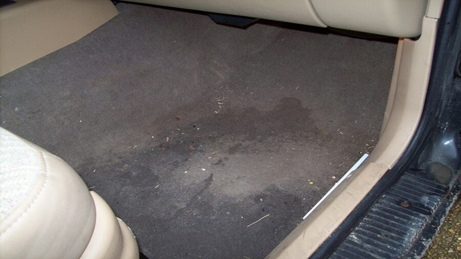 wet car floor